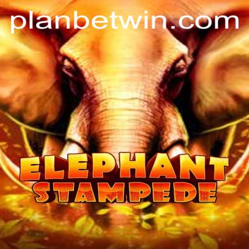 Unleashing the Adventure: ElephantStampede and the Power of Strategic Play